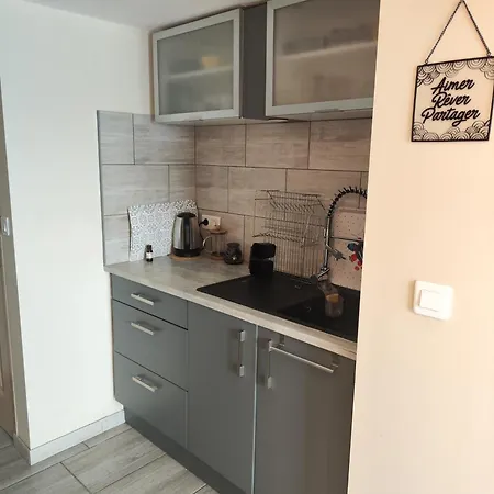 Goya Climatise Et Jardin 2 Nuits Minimum * Castres (Tarn)