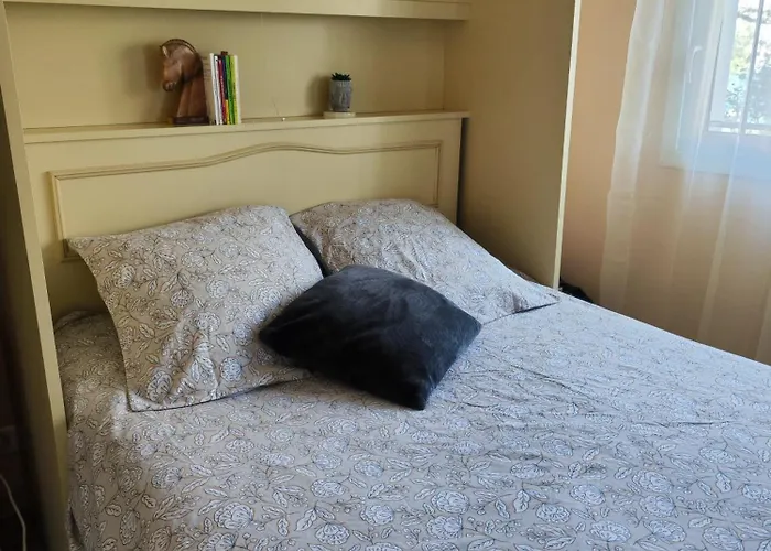 Goya Climatise Et Jardin 2 Nuits Minimum * Καστρ